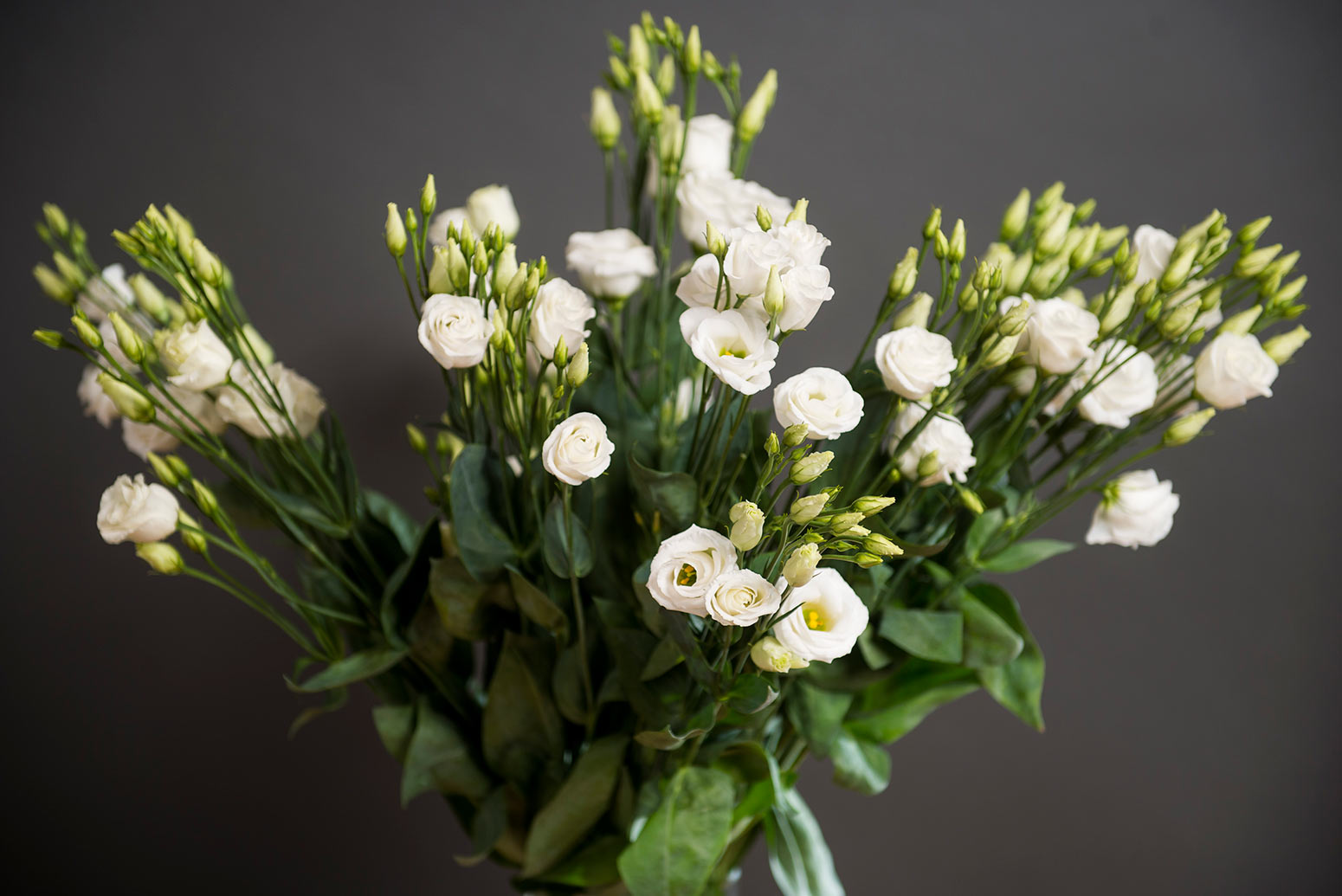 Audeladunefleur 02 76c93a805e54418ca49f78527a53b03fe82460b29345ff33c60b4b6ae4df6a52
